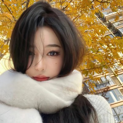寻找法蒂玛